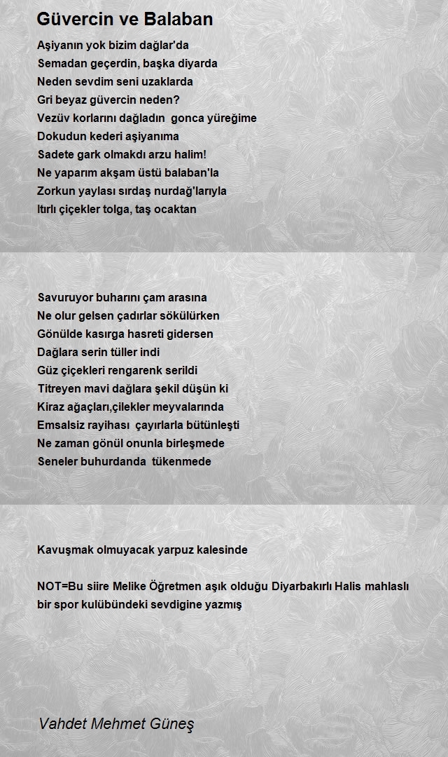 Vahdet Mehmet Güneş