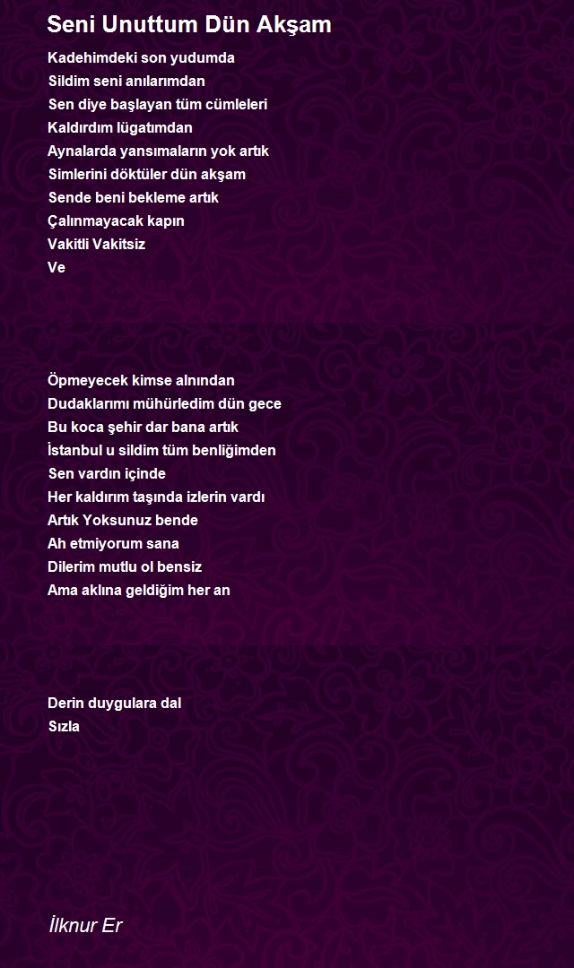 İlknur Er