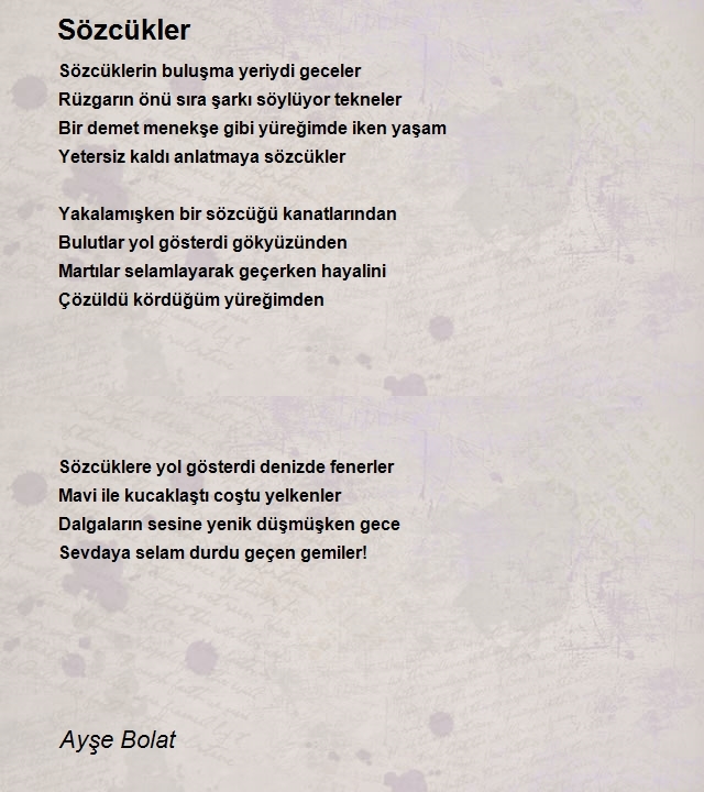 Ayşe Bolat