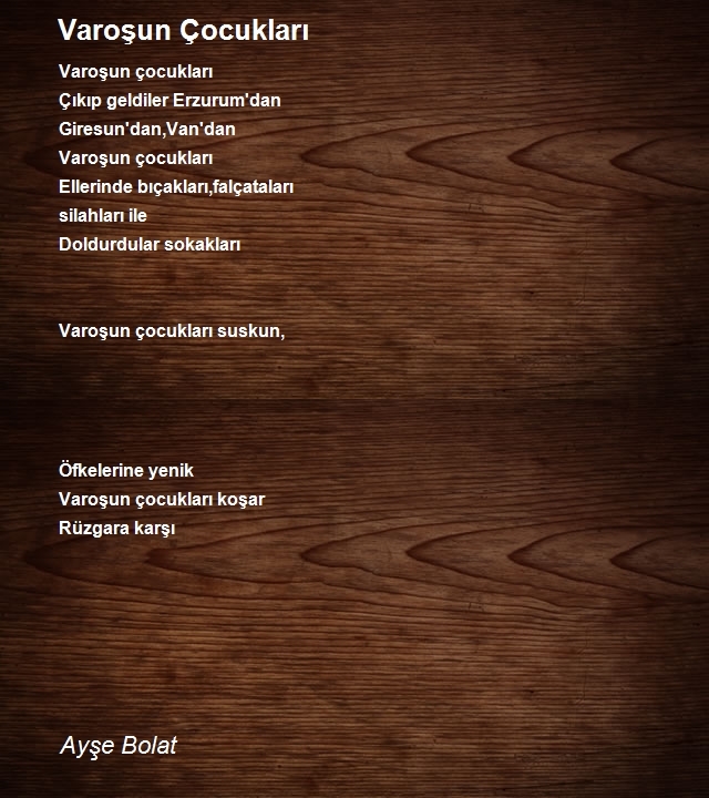 Ayşe Bolat