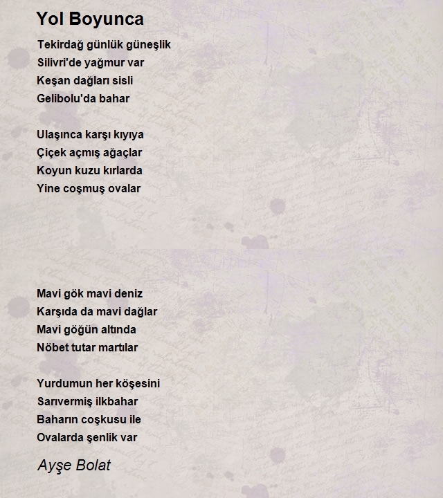 Ayşe Bolat
