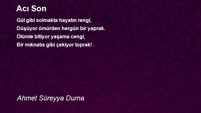Ahmet Süreyya Durna