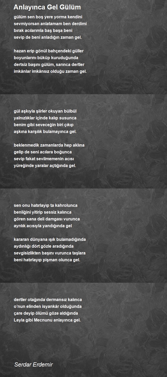 Serdar Erdemir