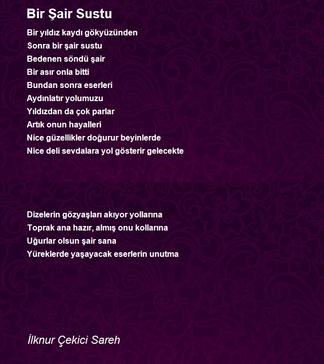 İlknur Çekici