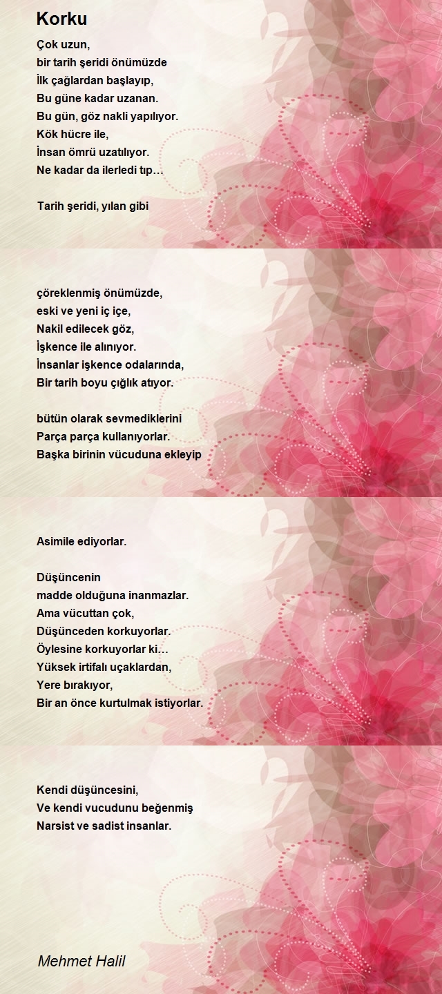 Mehmet Halil