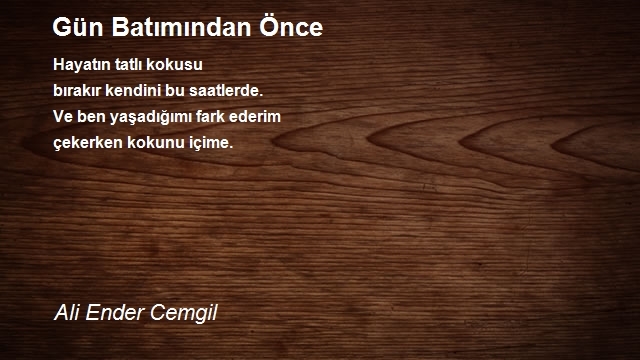 Ali Ender Cemgil