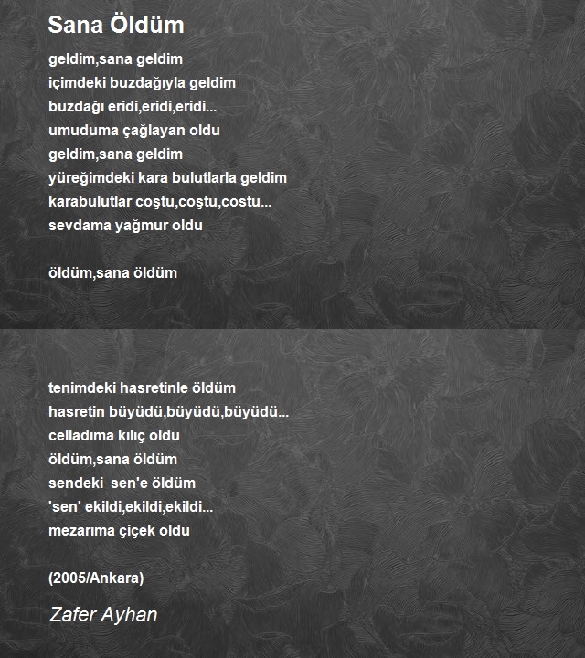 Zafer Ayhan
