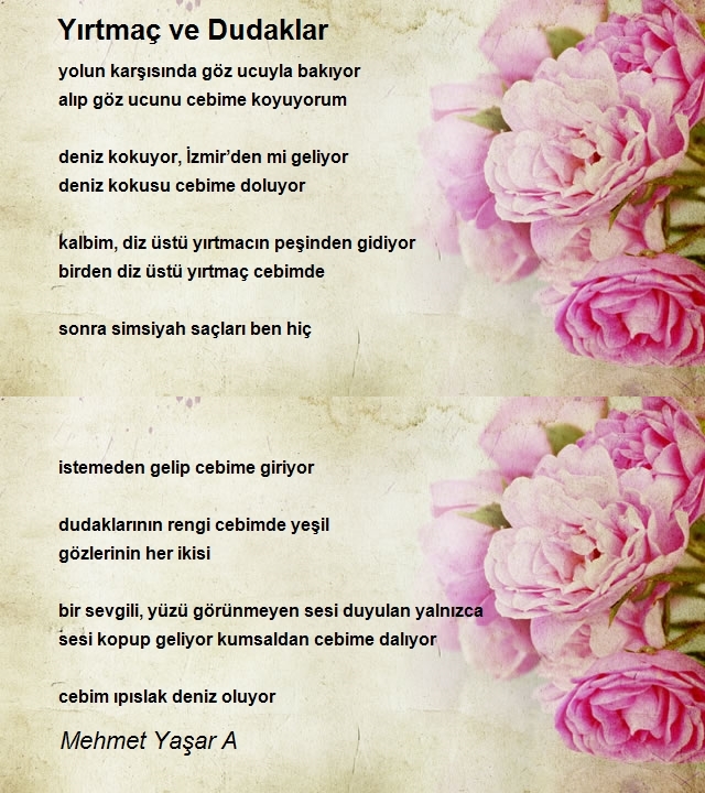 Mehmet Yaşar A