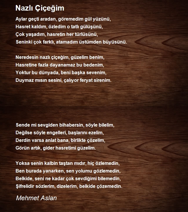 Mehmet Aslan