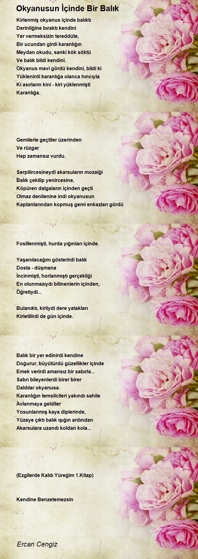 Ercan Cengiz