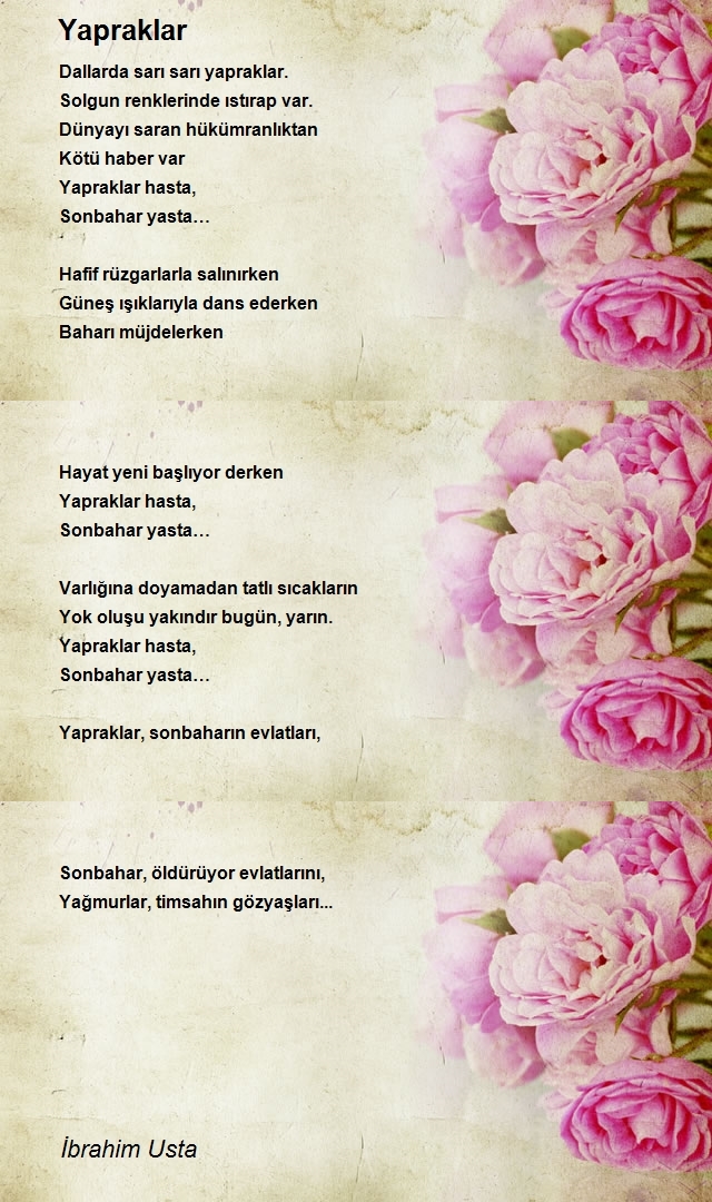 İbrahim Usta