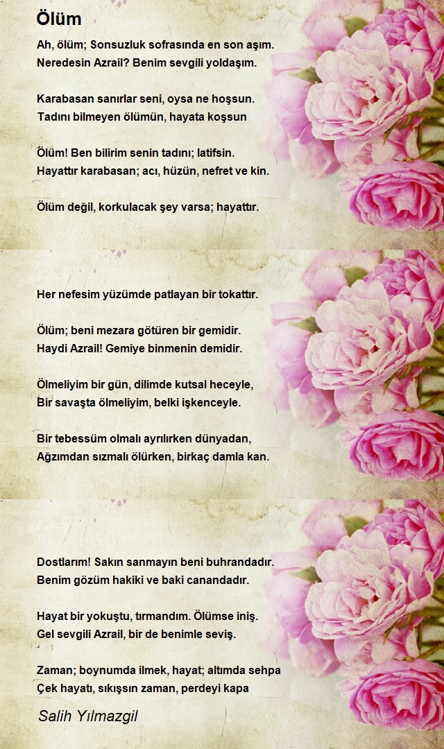 Salih Yılmazgil