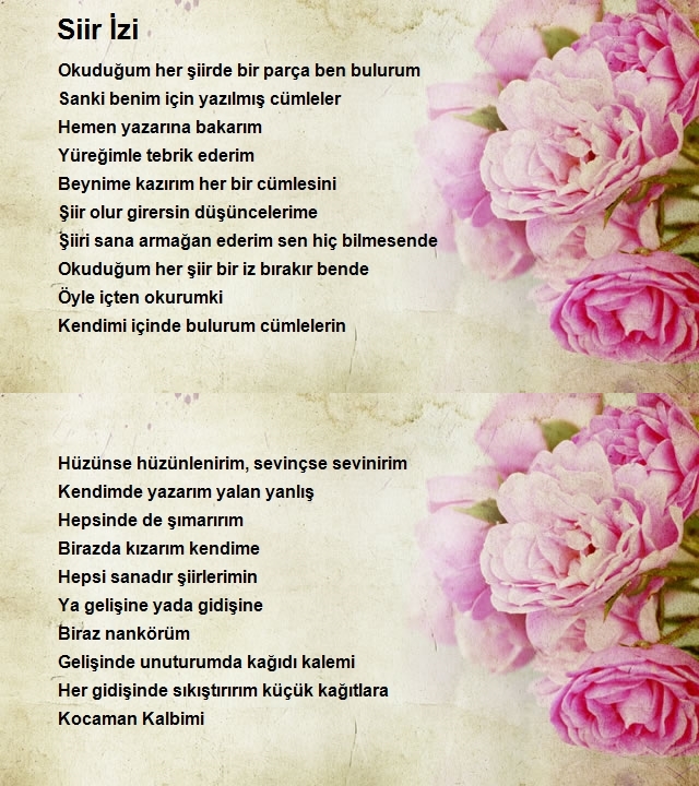 İlknur Er