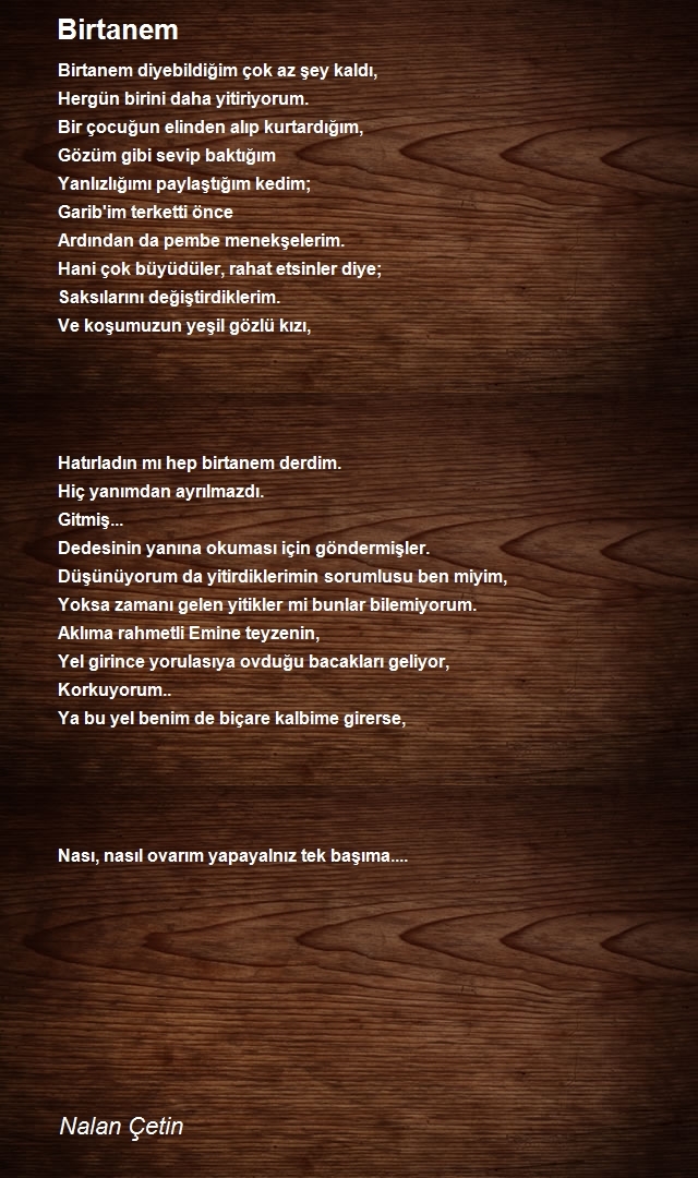 Nalan Çetin