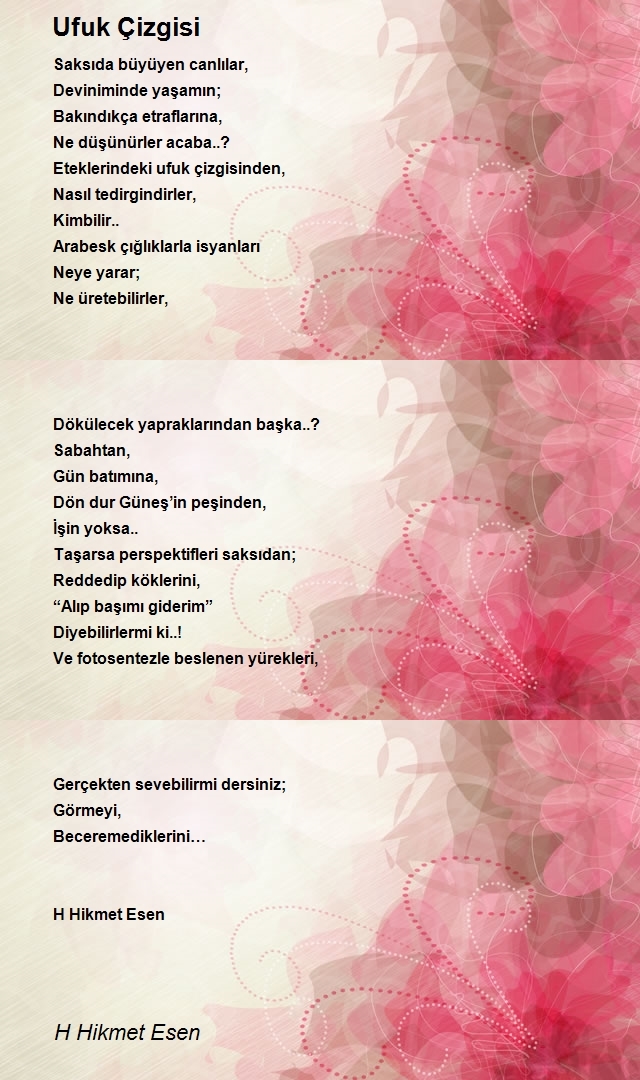 H Hikmet Esen
