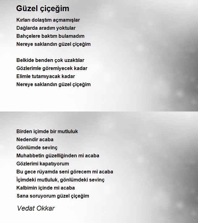 Vedat Okkar