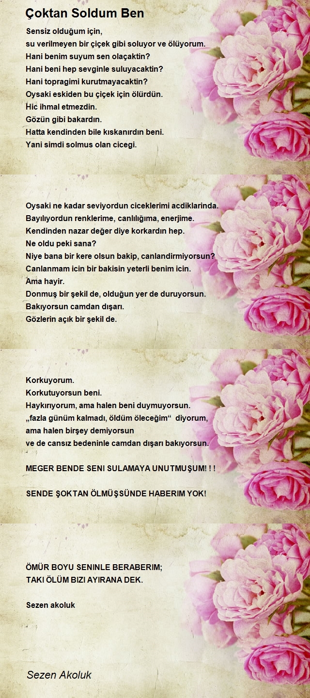 Sezen Akoluk