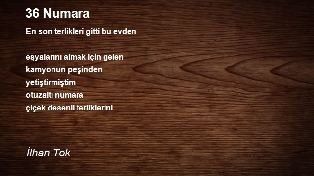 İlhan Tok