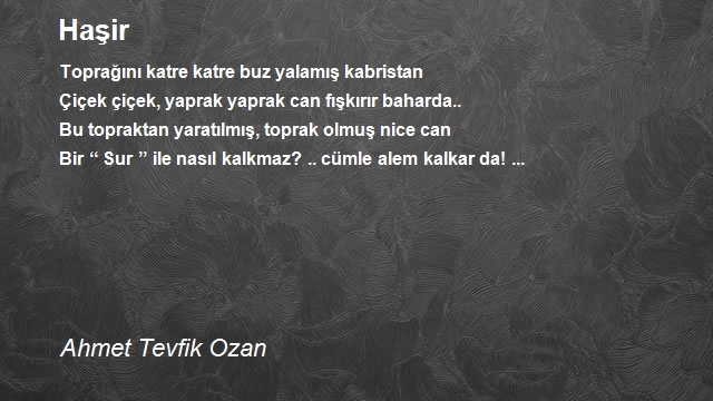 Ahmet Tevfik Ozan