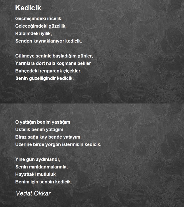 Vedat Okkar