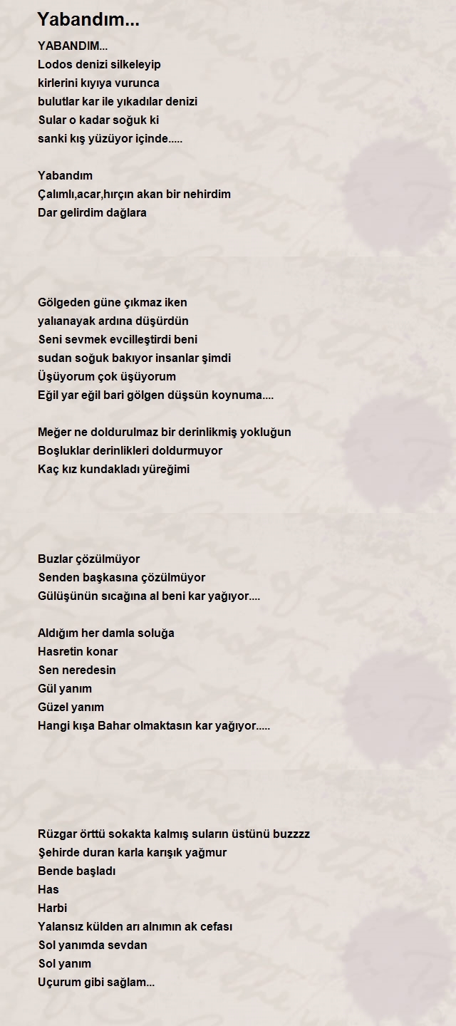 Savaş Ezgi
