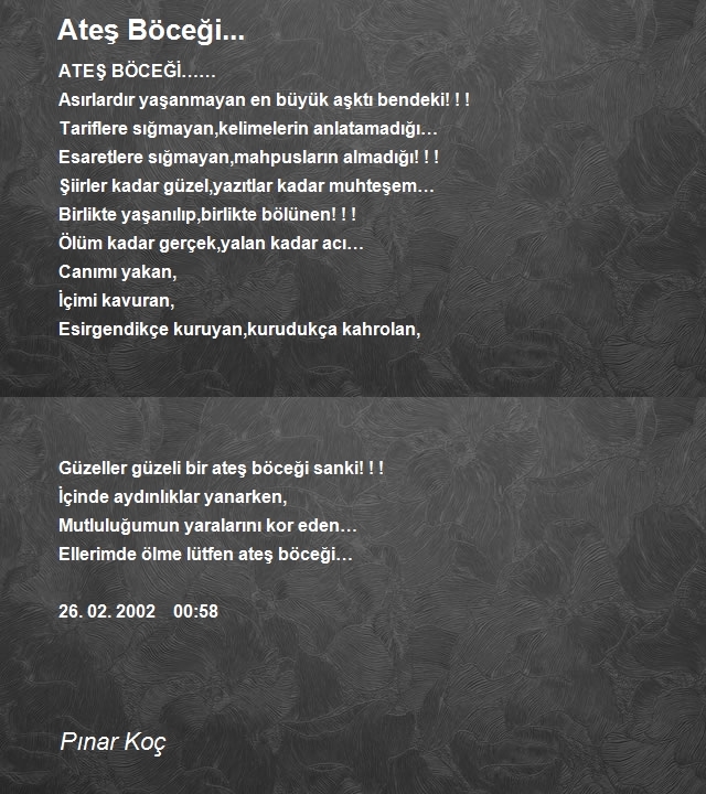 Pınar Koç