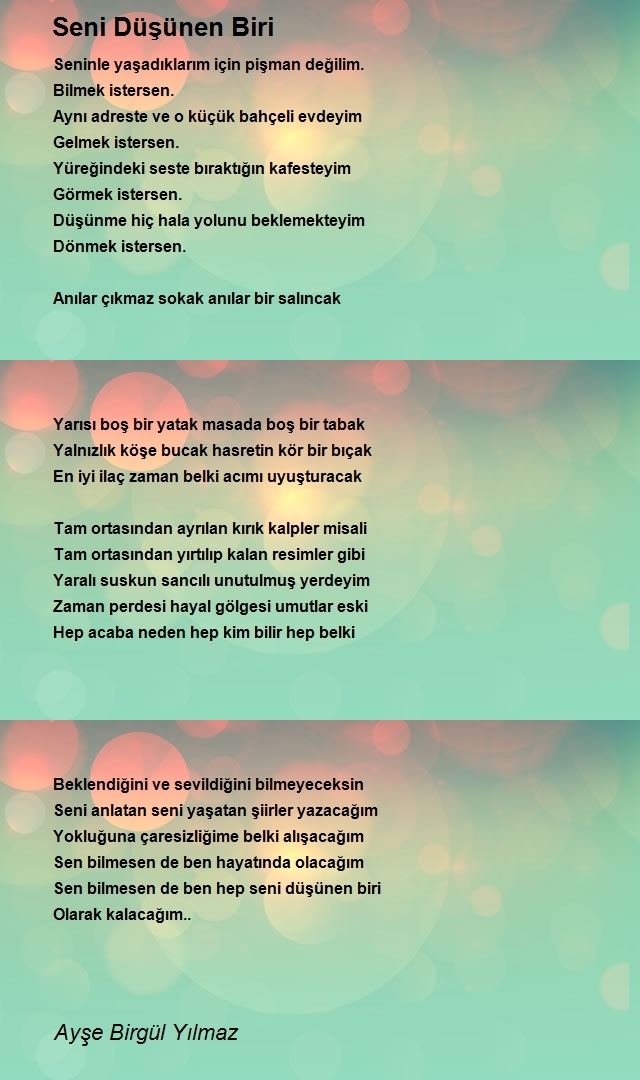 Ayşe Birgül Yılmaz