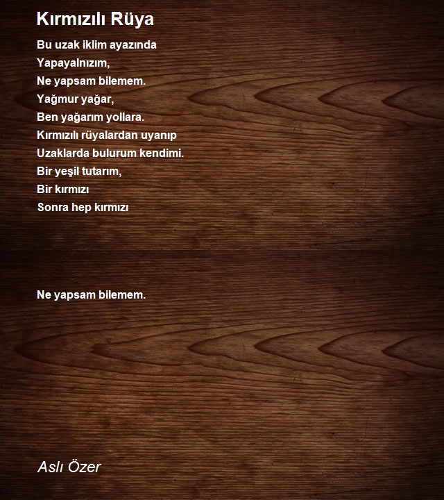 Aslı Özer
