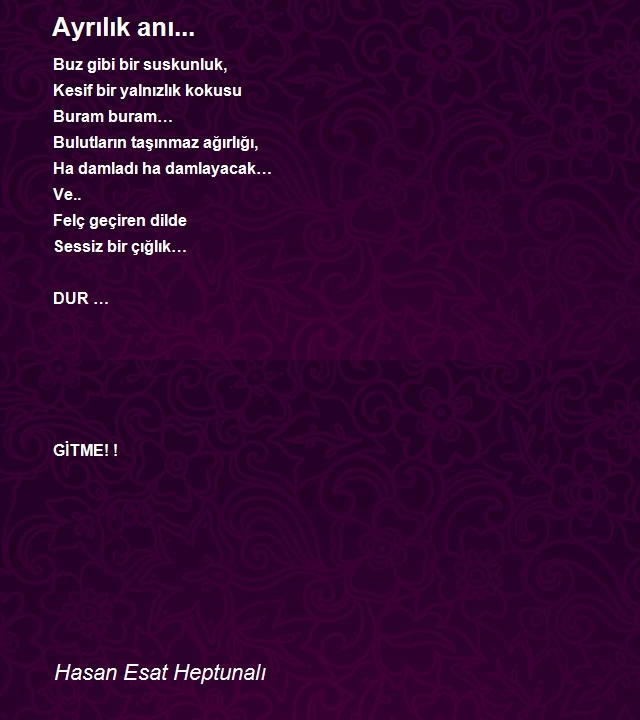 Hasan Esat Heptunalı