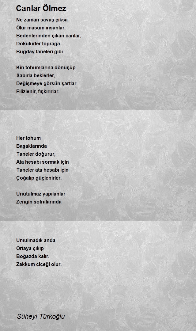 Süheyl Türkoğlu