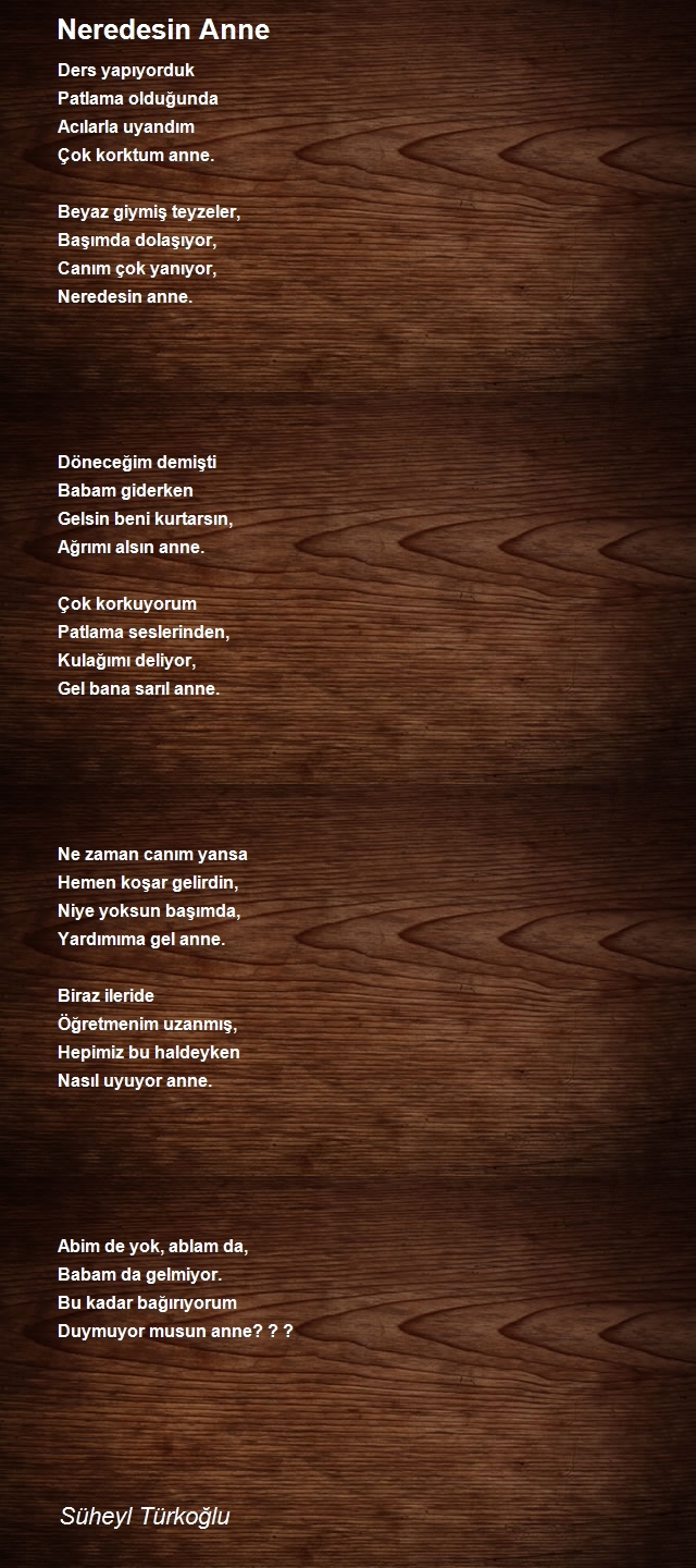 Süheyl Türkoğlu