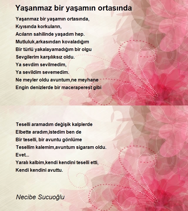 Necibe Sucuoğlu