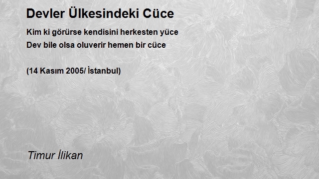 Timur İlikan