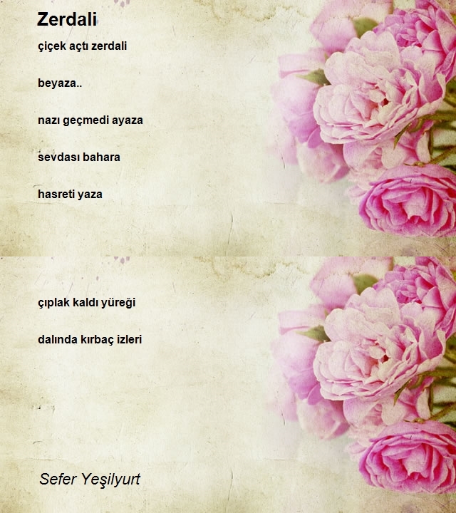 Sefer Yeşilyurt