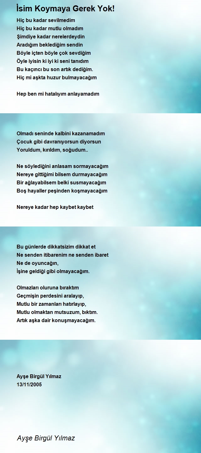 Ayşe Birgül Yılmaz