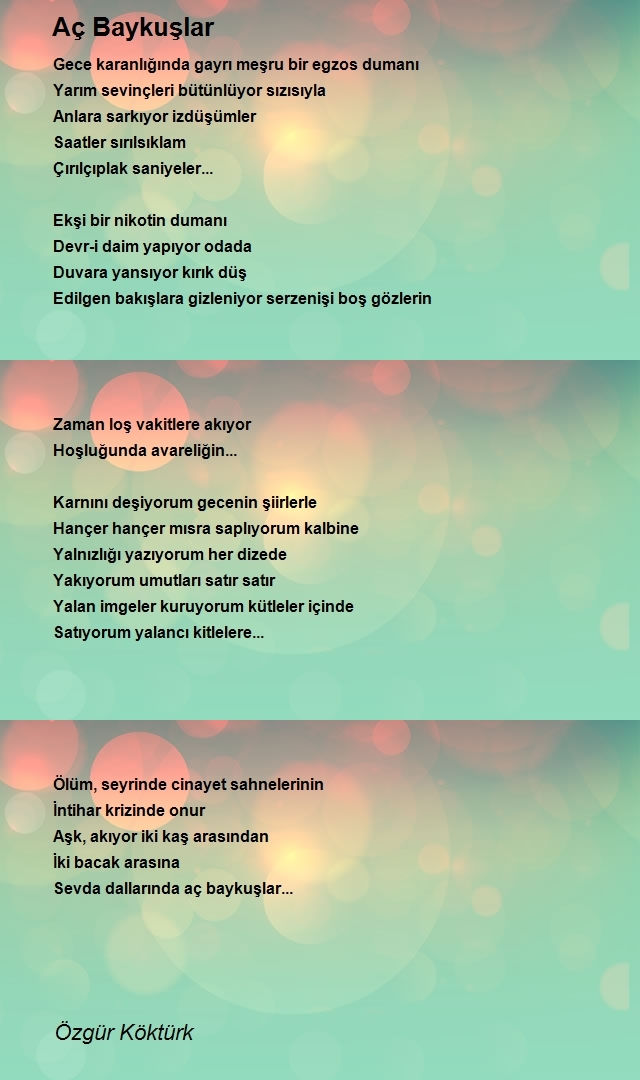 Özgür Köktürk