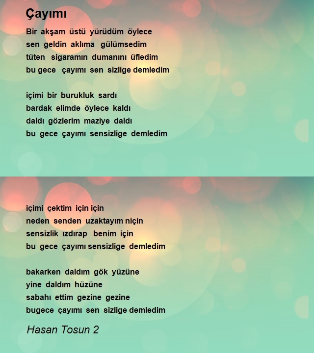 Hasan Tosun 2