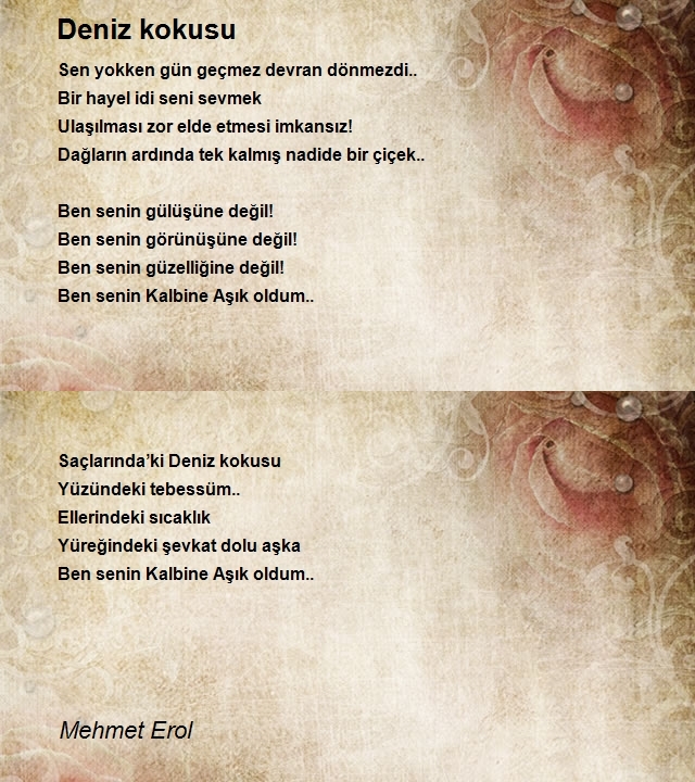 Mehmet Erol