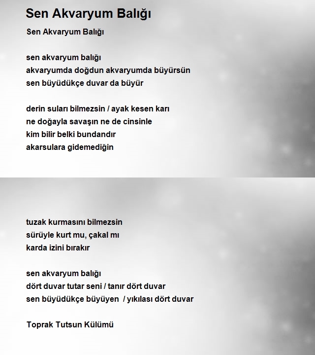 Ercan Cengiz