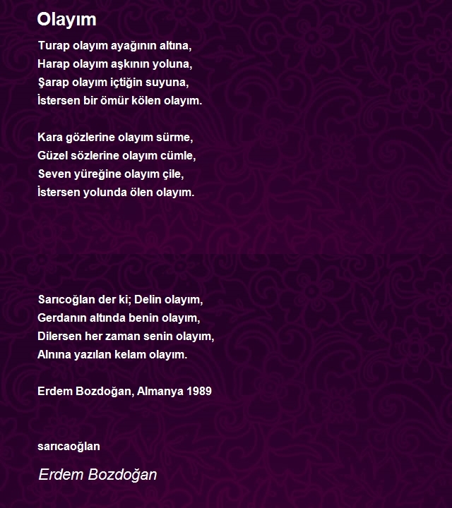 Erdem Bozdoğan