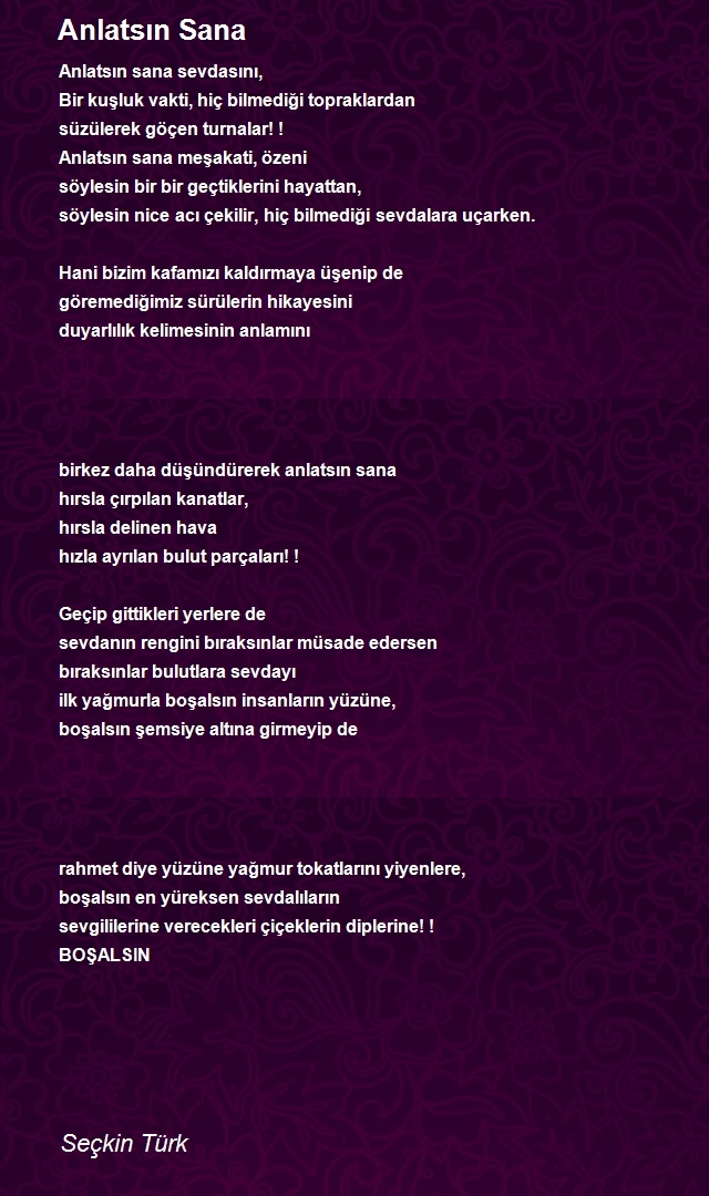 Seçkin Türk
