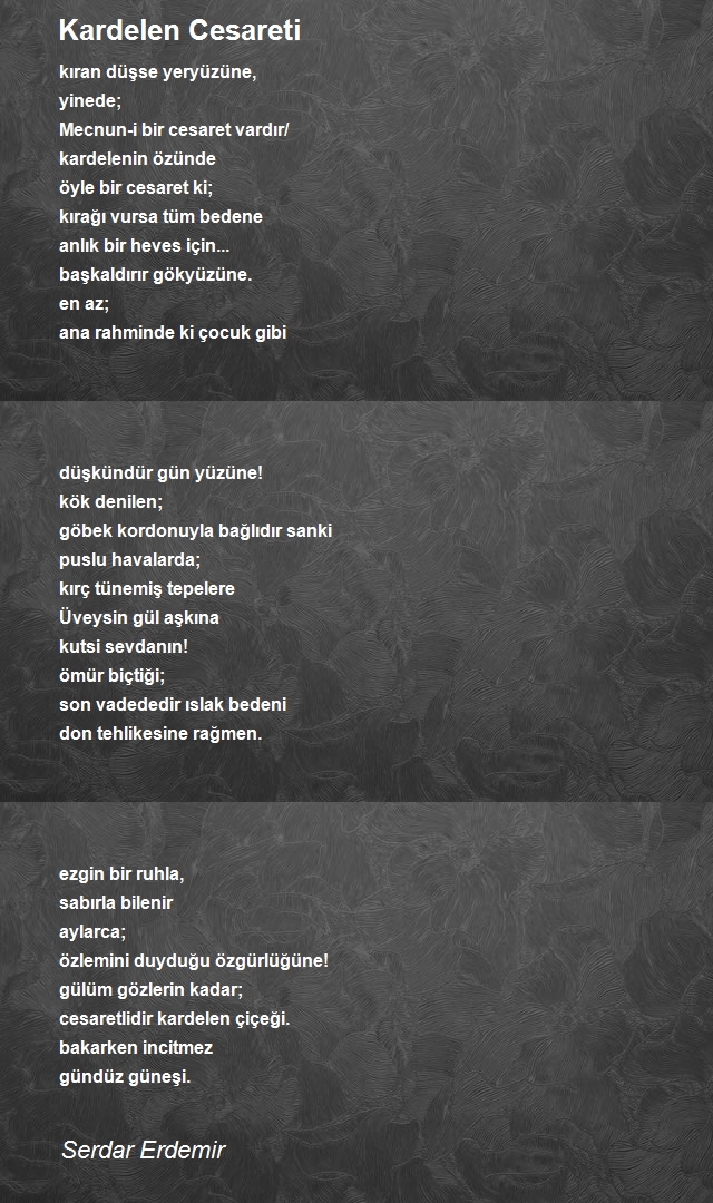 Serdar Erdemir