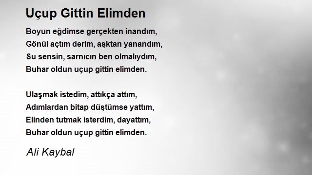 Ali Kaybal