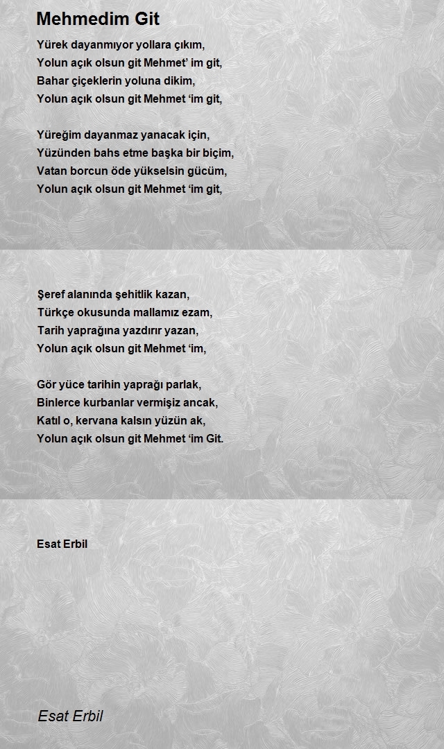 Esat Erbil