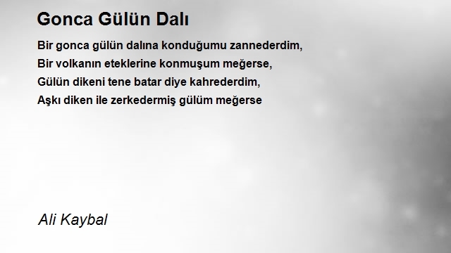 Ali Kaybal