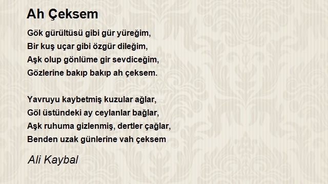 Ali Kaybal