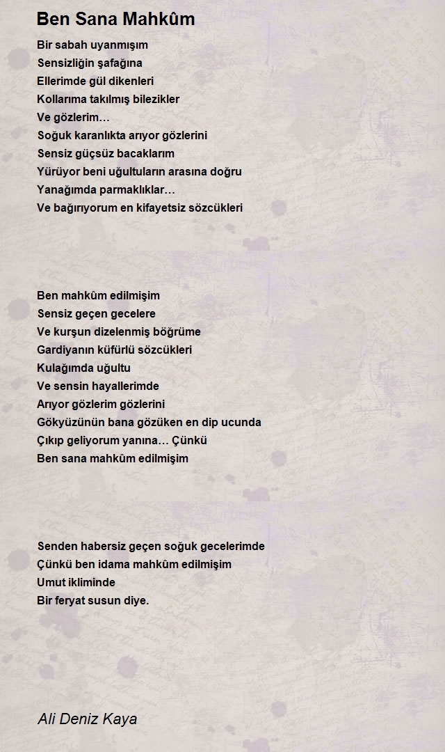 Ali Deniz Kaya