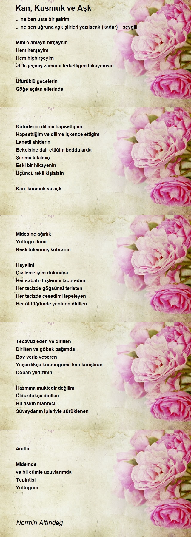 Nermin Altındağ