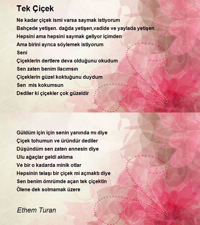Ethem Turan