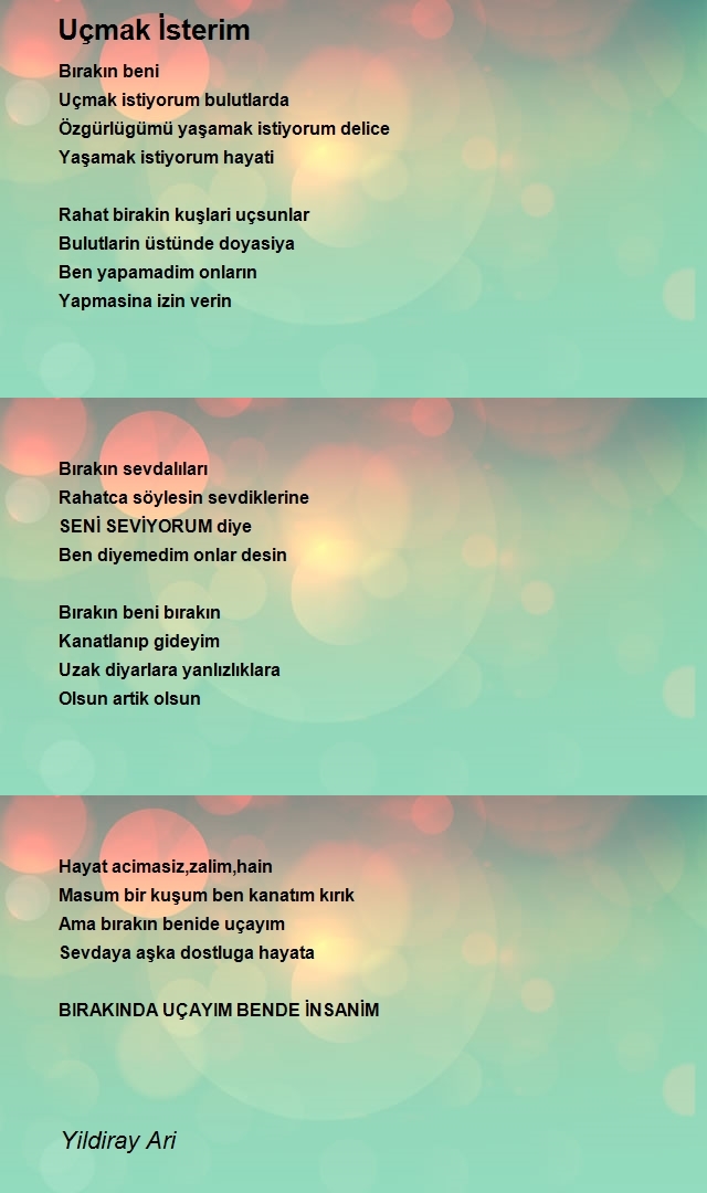 Yildiray Ari